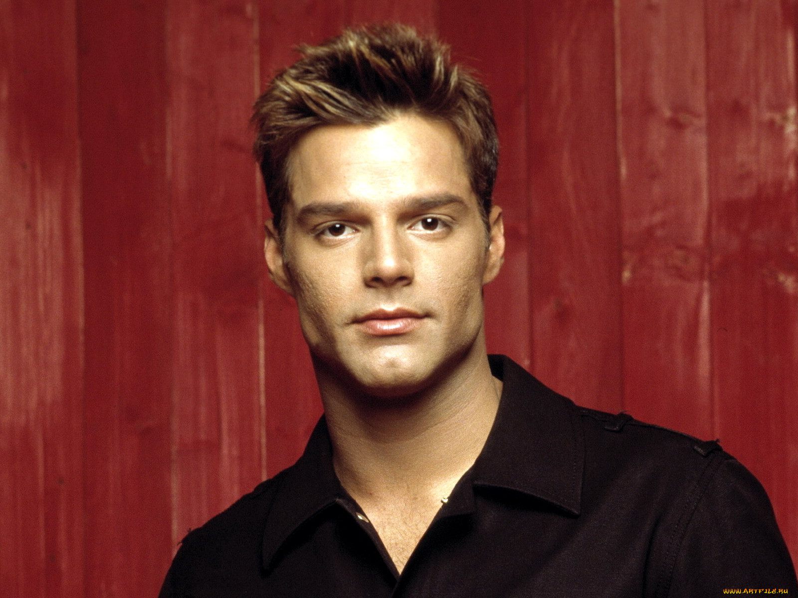 ricky, martin, 